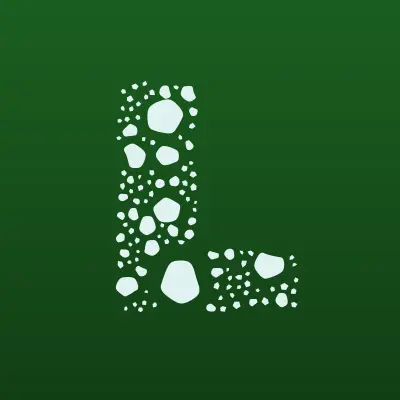 Лидер Техника